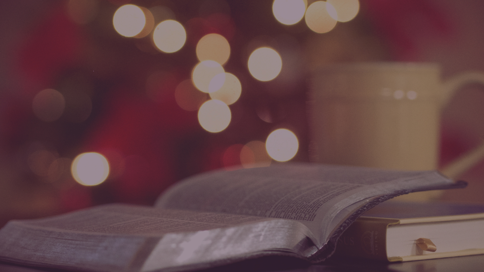 Artículos | Disfrutando de la navidad con la mirada en Cristo y su evangelio